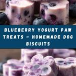 Blueberry Yogurt Paw Treats for Dogs Recipe